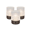 Lucide LED-Akku-Tischleuchte LILY, IP20, � 8cm, 3W 2700K 80lm, 3-stufiger Touch-Dimmer + USB-C Kabel, Acrylglas, Schwarzchrom matt