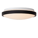 ceiling luminaire DASHER 30 IP44, opal, black 