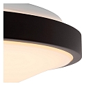 ceiling luminaire DASHER 41 IP44, opal, black 