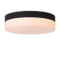 ceiling luminaire BISKIT 23 IP44, opal, black 
