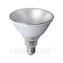 Outdoor LED Pflanzenlampe Reflektorform PAR38, IP55, E27, 12W PT-spezial, klar strukturiert