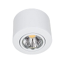 nobil� LED Downlight A 5068 AUFBAU, IP40, AMP 230V, CRi >90, inkl. BG, schwenkbar, dimmbar C, 9.5W 4000K 38�, Chrom