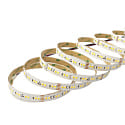 nobil� LED Strip SMD 2835 SCCT MP, 24V DC, 140 LED/m, 6.5-24W/m (Multipower) 3000/3500/4000K 800-2240lm/m 120�, 2 Meter / 1.2cm