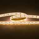 Outdoor LED Strip Flexible LED SMD 3528, IP67, 12V, 4.8W/m, 3000K, 200cm