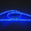 Outdoor LED Strip Flexible LED SMD 3528, IP67, 12V, 4.8W/m, BLUE, 200cm