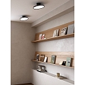 ceiling luminaire KAITO 2 PRO 30 IP20, black dimmable