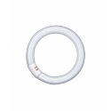 fluorescent lamp L, circular 26mm tube, 40W 865 C daylight