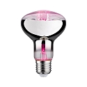 LED Wachstumslicht-Filament / Grow Green Reflektor R80, 230V, E27, 6.5W 1300K 200lm 60�