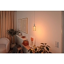 Paulmann LED Deko-Filament METALLIC GLOW ZYLINDER SPIRAL, � 10cm, E27, 4.2W 1800K 200lm, Metallkorb, schaltbar, Messing