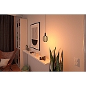 Paulmann LED Deko-Filament METALLIC GLOW GLOBE SPIRAL, E27, 4.2W 1800K 200lm, Metallkorb, schaltbar, schwarz