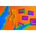Paulmann LED Strip NEON COLORFLEX LED RGB white