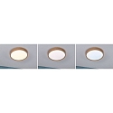 Paulmann bath luminaire TEGA CCT Switch, switchable IP44, wood, mat 