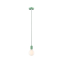 pendant luminaire NEORDIC TILLA 1 flame E27 IP20, light green dimmable
