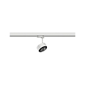 Paulmann ProRail3 LED 3-Phasen-Schienenspot ALDAN, 230V, Halbkugel-Linse, dimmbar, 9W 3000K 400lm, Wei� / Schwarz