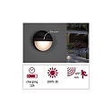 Paulmann LED Outdoor Wall luminaire ELOIS Solar luminaire, 1W, 3000K, 50lm, IP44, anthracite