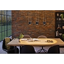 Paulmann 1-Phasen LED Pendelleuchte URAIL ALDAN, Linsenoptik, 230V, 13W 2700K, dimmbar, Wei� / Schwarz