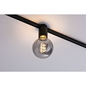 Paulmann 1-Phasen Fassung URAIL CEILING SOCKET, 230V, E27 max. 20W (exkl.), Metall, Schwarz