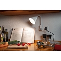 Paulmann Steckerleuchte JUNUS FLEXARM, IP20, 230V, E14 max. 20W (LED), mit Schalter, f�r Schuko-Stecker (Typ EF-CEE 7/7), Wei�