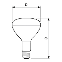 Philips Philips 375 W R125 clear IR CH Landwirtschaft + Lebensmittel