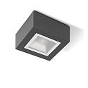 outdoor ceiling luminaire MIMIK 10 CEILING TECH static IP65, anthracite, lacquered 
