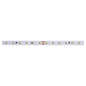 LED Strip VARDAflex QUANTUM PLUS, IP20, 64 LED/m, 24V DC, 11.5W /m, CRI 80, 500cm / 1cm, 4000K 1870lm/m 120�