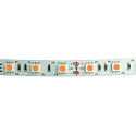 LED Strip VARDAFLEX PLUS PROFI PINK - 5M