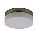 Outdoor LED Deckenleuchte IKARO, IP44, zylindrisch, � 24cm, 18W 290K 1440lm, dimmbar, Mattglas, stahl geb�rstet
