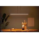Steinhauer LED Pendelleuchte ZELENA, Up/Down, 122cm, 17+8W 2200-4000K (CCT) 1680+840lm, CRi >90, mit Touch-Dimmer, schwarz matt