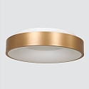 Steinhauer LED Deckenleuchte RINGLEDE, � 48cm, 40W 2700K 3600lm, direkt / indirekt, dimmbar, gold matt