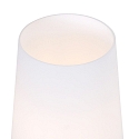 Steinhauer table lamp ANCILLA 1 flame, short, with switching function, conical E27 IP20, steel brushed dimmable