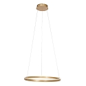 Steinhauer pendant luminaire RINGLUX LED IP20, gold dimmable