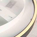 Steinhauer ceiling luminaire RINGLUX IP20, dimmable