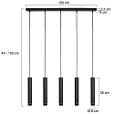 Steinhauer Mexlite Pendelleuchte 5-fl. 