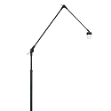 Steinhauer Steinhauer Stehleuchte 1-fl. 