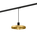 1-phase pendant luminaire ODREY ON TRACK 1.2 incl. 1-phase adapter GU10 IP20, gold, black matt