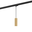 3-phase pendant luminaire RAY SUSP ON TRACK 3-PHASE 2.0 PAR16 GU10 IP20, champagner dimmable