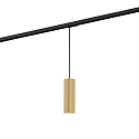 1-phase pendant luminaire RAY SUSP ON TRACK 1-PHASE 2.0 PAR16 GU10 IP20, champagner dimmable