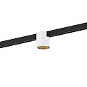 LED Schienenstrahler HEXO ON STREX 1.0, 25�, 48V, 7W, 3000K, 470lm, IP20, Schiene schwarz / Leuchte wei�/gold