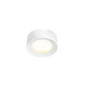 LED Deckenleuchte FERA 25 CL DALI LED Downlight, 19,5W, 90°, 3000/4000K, 1650lm, Glas matt, weiß