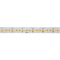 LED Strip GRAZIA PRO MAX FLEXSTRIP, 138,6W, 24V, 20mm, 5m, 2500lm/m, IP20, 3000K