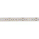 LED Strip GRAZIA PRO MAX FLEXSTRIP, 212,3W, 24V, 20mm, 5m, 4000lm/m, IP20, 3000K