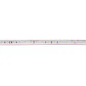 SLV LED Strip GRAZIA IP FLEXSTRIP, 48W, 24V, 700lm/m, IP54, 4000K