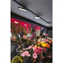 1-Phasen LED Flächen-Strahler PANEL TRACK, Eckig, 15x30cm, 230V / 450mA, 18W 3000K 1800lm, CRi >90, Schwarz