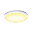 SLV LED Außenleuchte RUBA 42 CW LED Wand-/Deckenleuchte, CCT switch 3000/4000K, 2000/2270lm, IP65, weiß