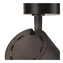 SLV LED Deckenleuchte NUMINOS® SPOT DALI XL, 36W, 4000K, 36°, schwarz