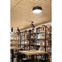 SLV LED Deckenleuchte NUMINOS® SPOT DALI XL, 36W, 4000K, 36°, schwarz