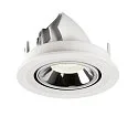 SLV LED Deckeneinbauleuchte NUMINOS® GIMBLE S, 4000K, 20°, Weiß / Chrom