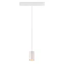 SLV LED Pendelleuchte NUMINOS® XS TRACK 48V, 55°, 8,7W, CRI90, DALI, IP20, 2700K, 670lm, weiß/weiß