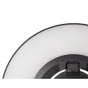 SLV Outdoor LED Stehleuchte I-RING, IP65 IK05, Ø 24cm, 9.2W 3000K 670lm, dreh- und neigbar, schaltbar, anthrazit