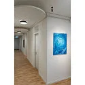 SLV wall and ceiling luminaire MEDO® 60 round, CCT Switch, direct / indirect IP50, black dimmable